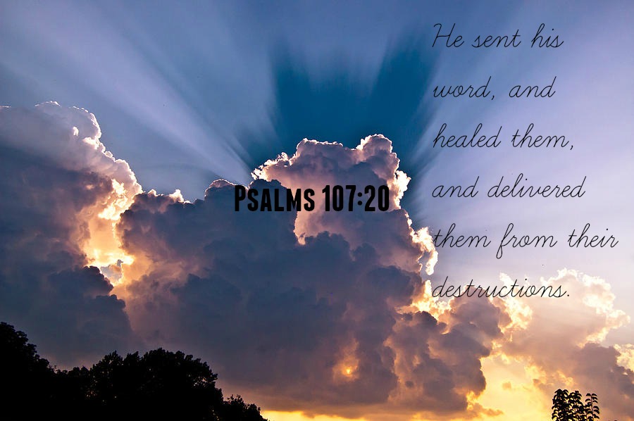 1 John 4:19 | Words That Renew The Soul