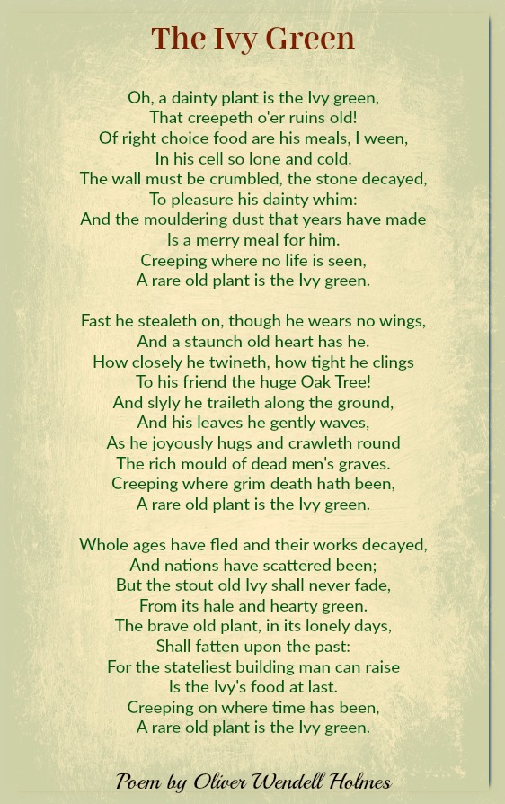 The Ivy Green | Oliver Wendell Holmes