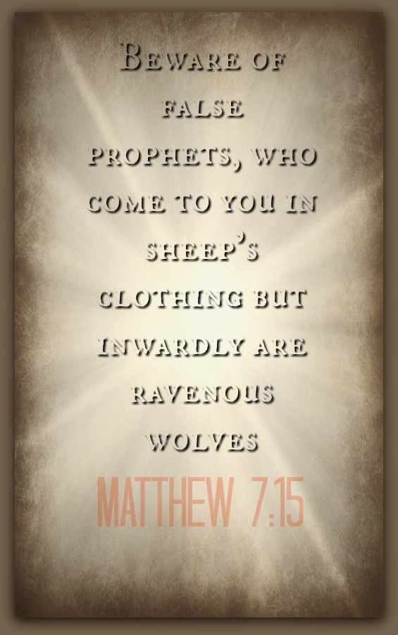 matthew 7 verse 15-16